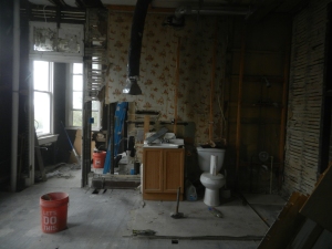 This is what the bathroom looked like for a few weeks.  VERY open concept.  Verging on exhibitionist.  